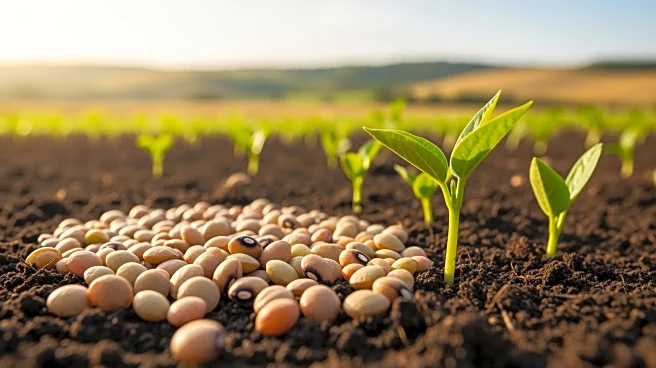 Bihar's Agriculture Minister Seeks Central Support for Pulse Production