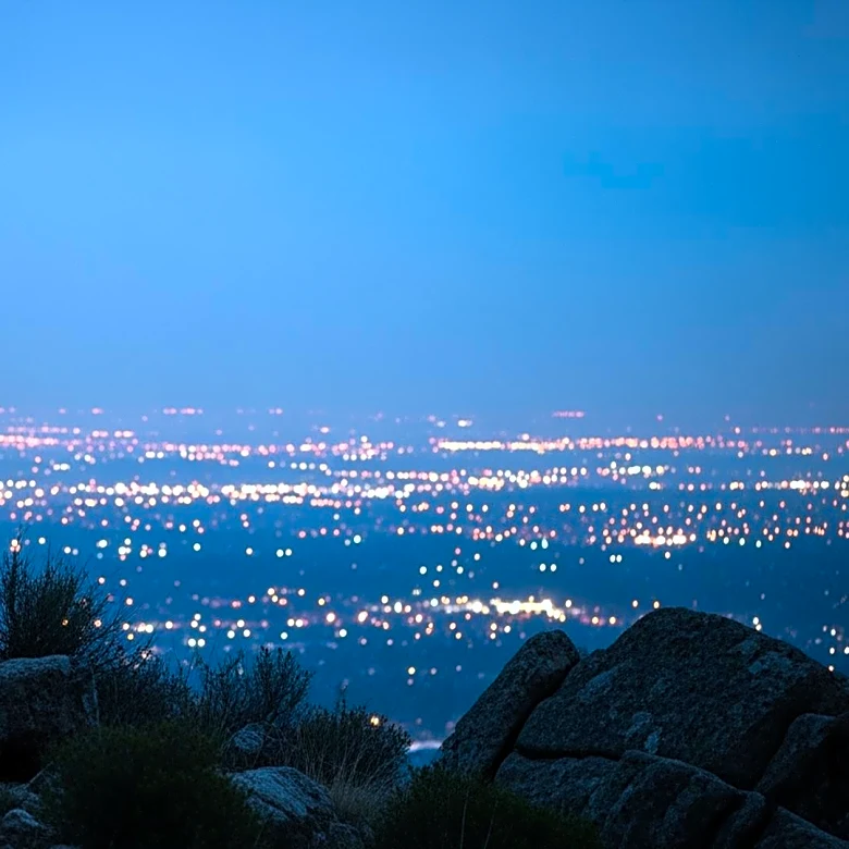 Wolf Visits Los Angeles County for First Time in 100 Years, Wildlife Officials Confirm