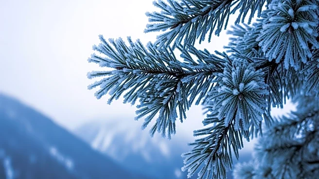 National Weather Service Issues Winter Storm Warning for Northeast and Appalachians