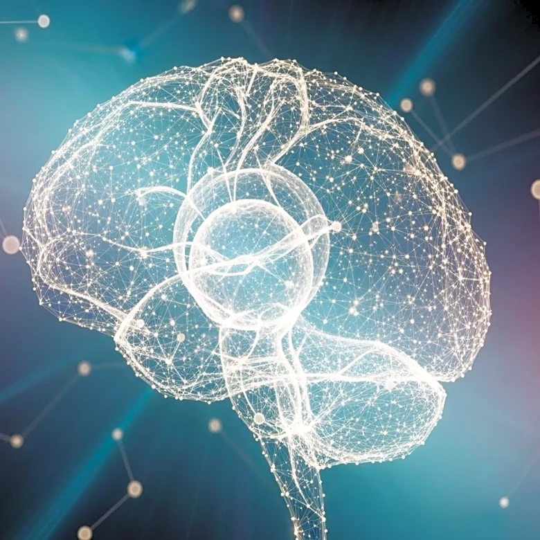 Study Reveals Meditation's Impact on Brain Activity and Neural Connections