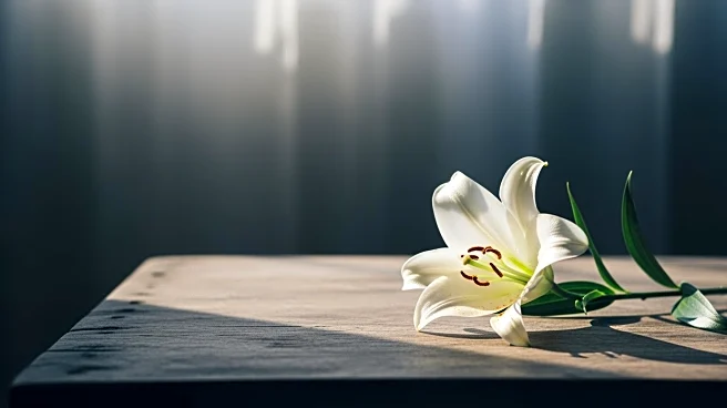 Mother of Shani Louk Reflects on Daughter's Abduction and the Waning Public Memory of October 7