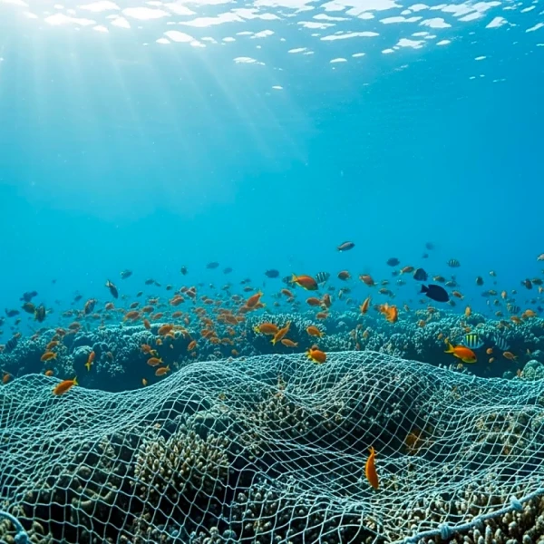 President Trump Reopens Protected Atlantic Ocean Area to Commercial Fishing, Sparking Environmental Concerns