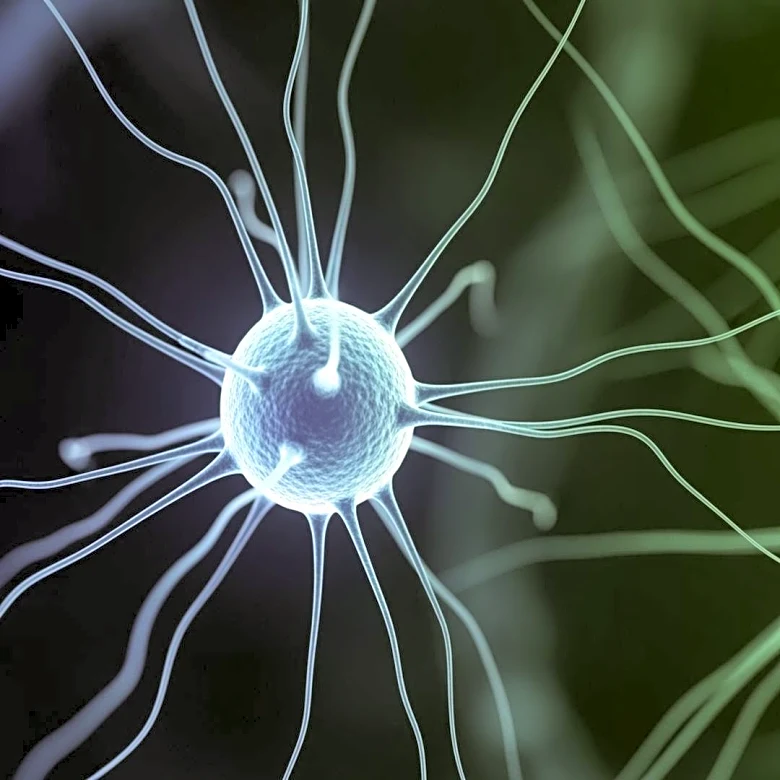 Research Team Uncovers Gut Bacteria's Ability to Sense Environment, Impacting Health