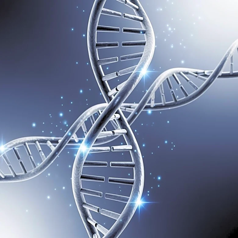Study Reveals Increased Genetic Influence on Longevity in Modern Contexts