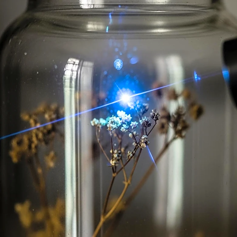 Scientists Use Lasers to Analyze Charles Darwin's Specimens Without Opening Jars