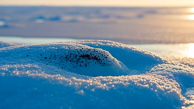 Arctic Shipping Increases Black Carbon Emissions, Accelerating Ice Melt