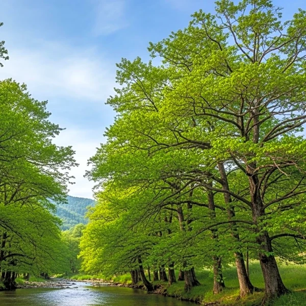 Washington Township Residents Oppose Proposed Data Center Over Environmental Concerns