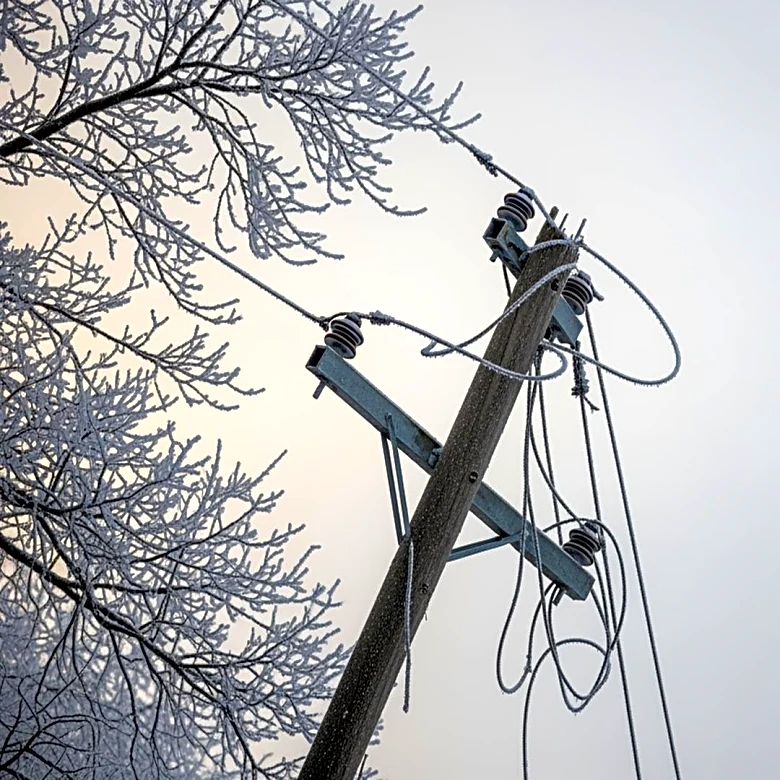 Mississippi Residents Endure Power Outages for Two Weeks After Ice Storm