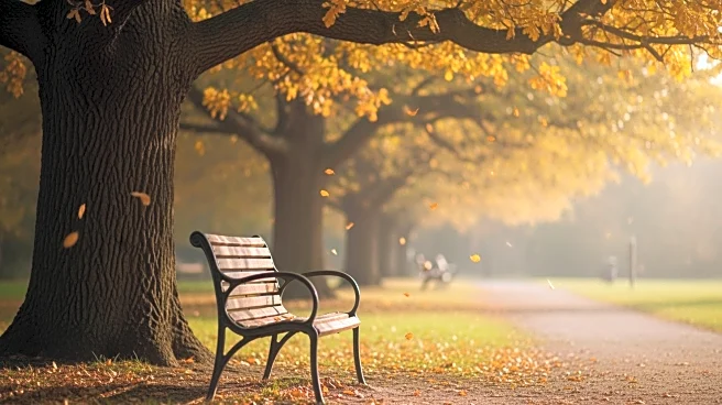 Savannah Guthrie Appeals for Public Assistance in Search for Missing Mother Nancy Guthrie