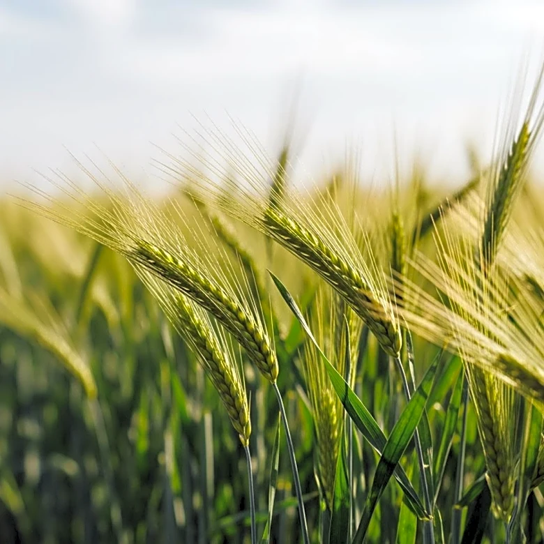 Bulloch Agricultural Complex Hosts Fifth Annual Ag-Grow Expo with Educational and Interactive Activities