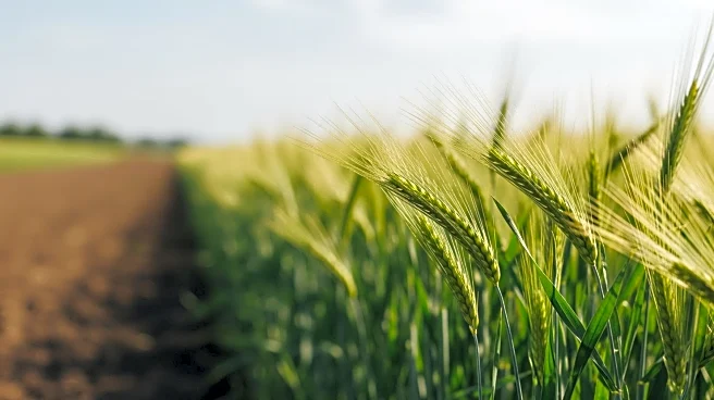 Bulloch Agricultural Complex Hosts Fifth Annual Ag-Grow Expo with Educational and Interactive Activities