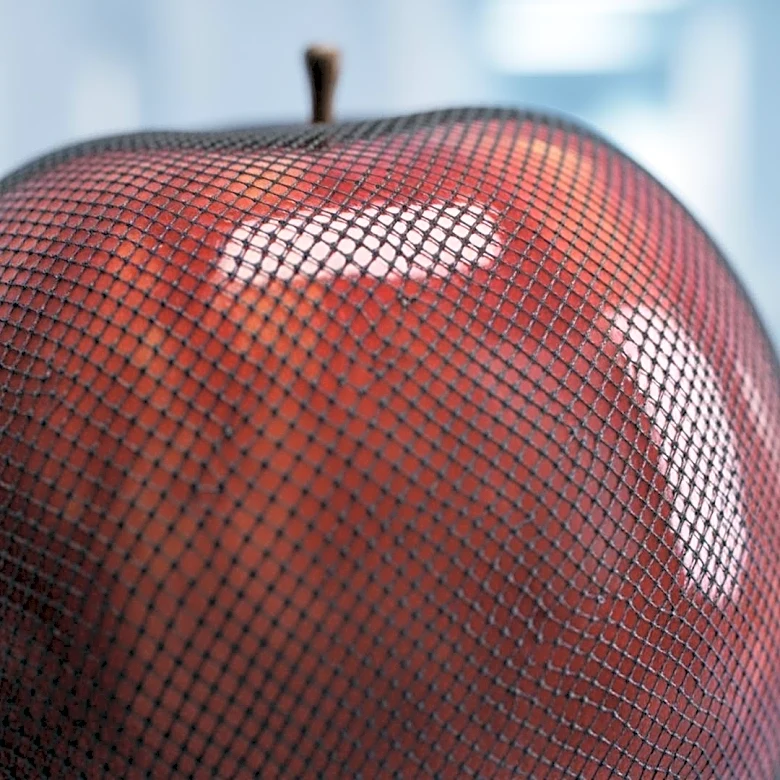 Study Reveals Obesity Increases Risk of Severe Infections by 70%