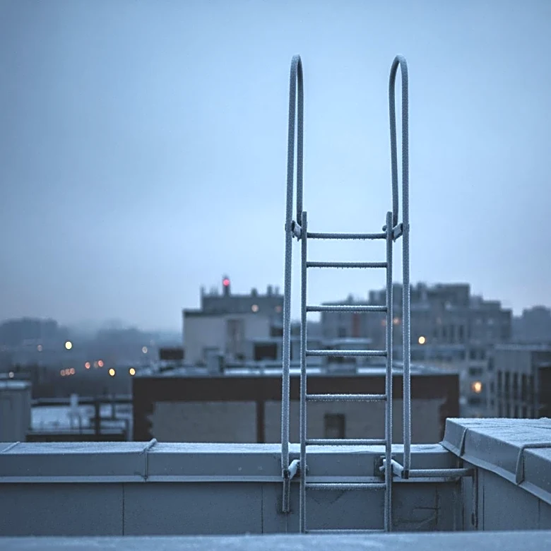 New York City Council Criticizes Mamdani Administration's Cold Weather Response