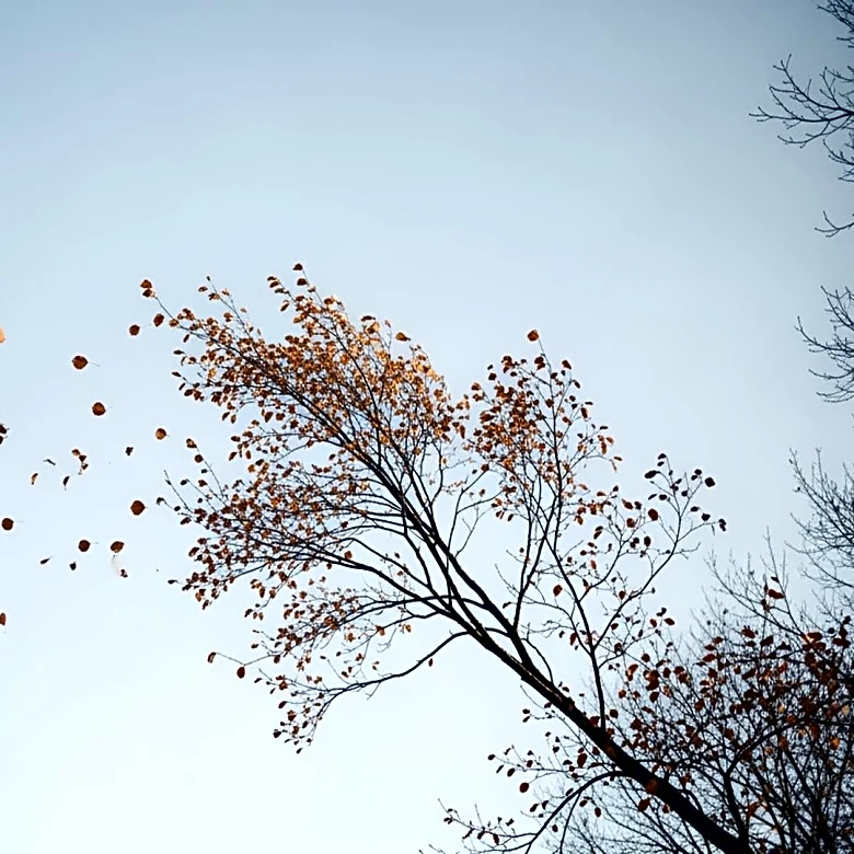 Minnesota Weather Forecast Predicts Breezy and Cooler Day