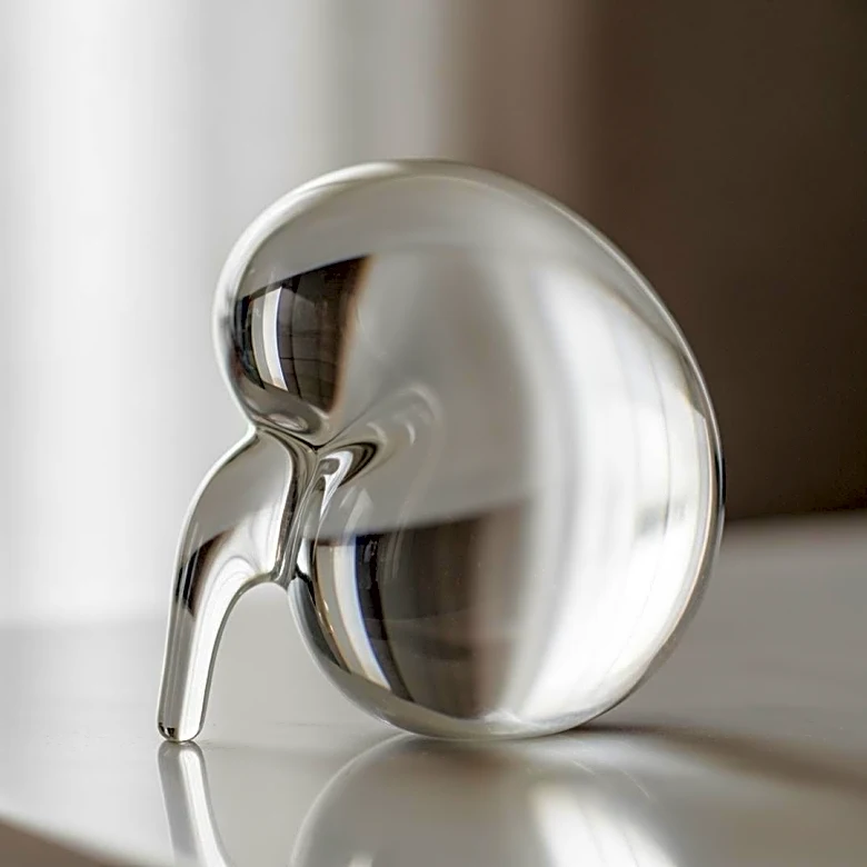 Bijou Phillips Hospitalized in Los Angeles Amid Urgent Kidney Donor Search