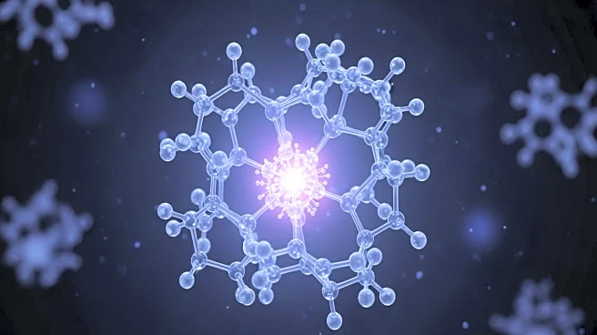 HOXD13 Molecule Identified as Key Driver in Melanoma Growth and Immune Evasion