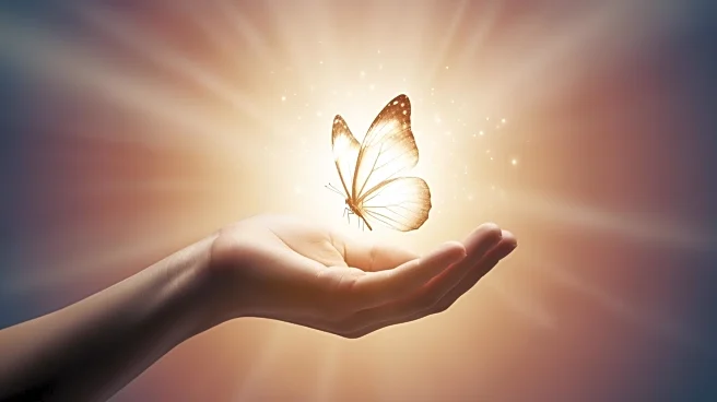 Catholic Charities Applauds New Law Aiding Human Trafficking Survivors