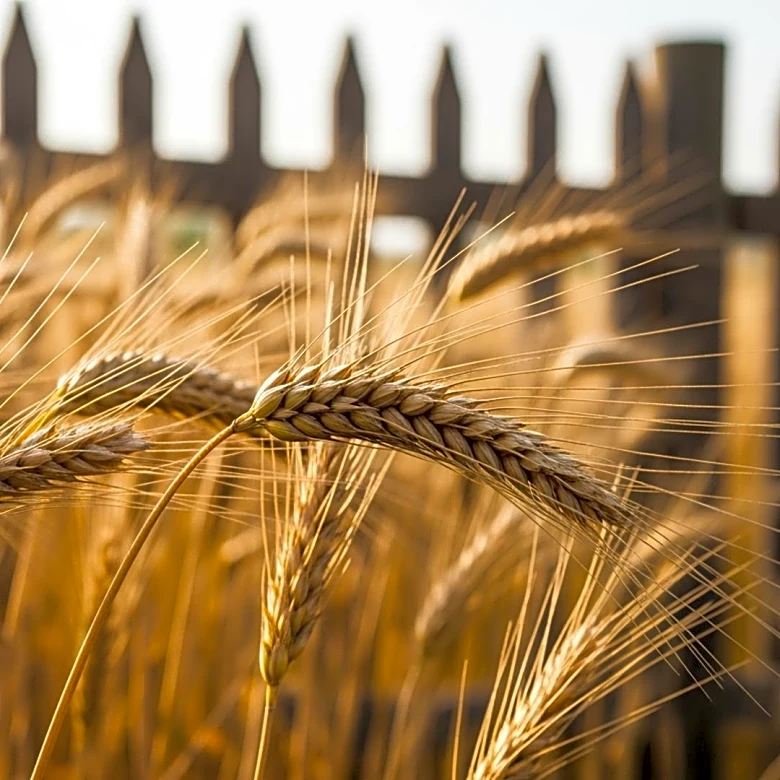 Kentucky Agriculture Commissioner Outlines 2026 Priorities to Boost Local Farming Economy