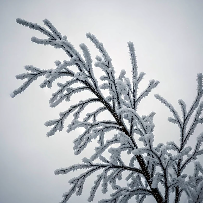 National Weather Service Issues Life-Threatening Winter Weather Warnings Across Five States