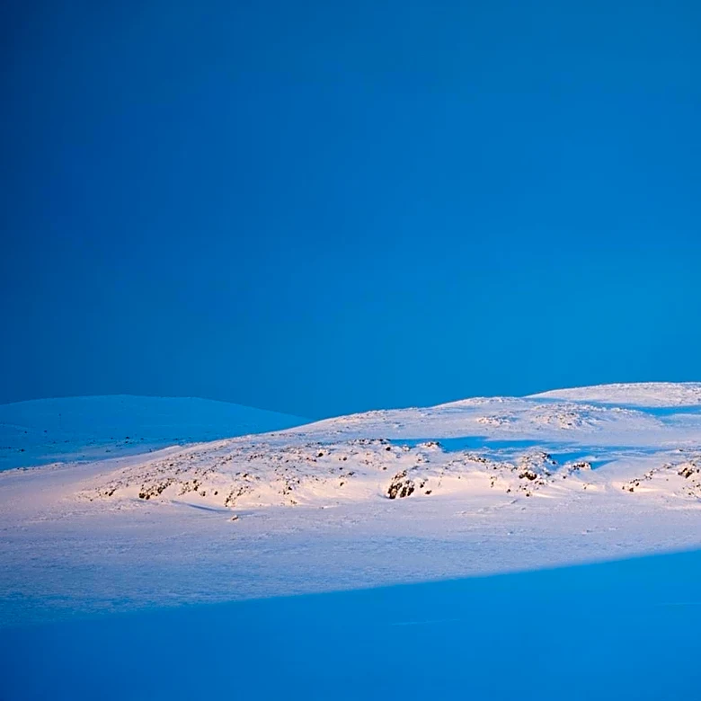 NATO's Arctic Deployment Aims to Address US Concerns Over Greenland