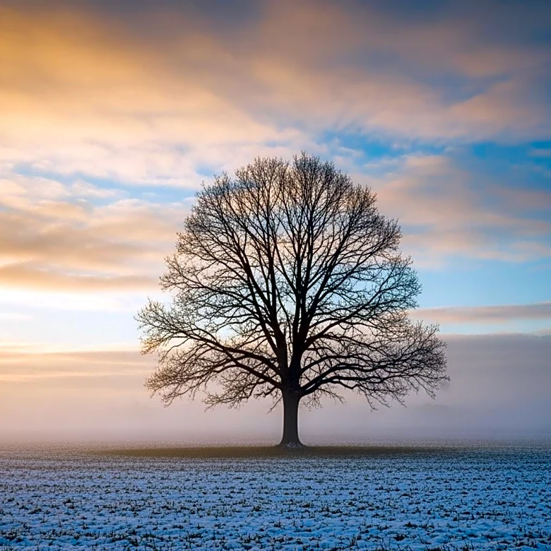 Minnesota Faces Unseasonable Weather Patterns with Potential Record Warmth