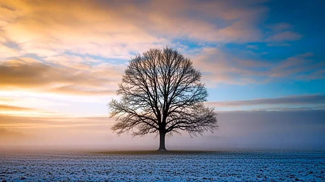 Minnesota Faces Unseasonable Weather Patterns with Potential Record Warmth