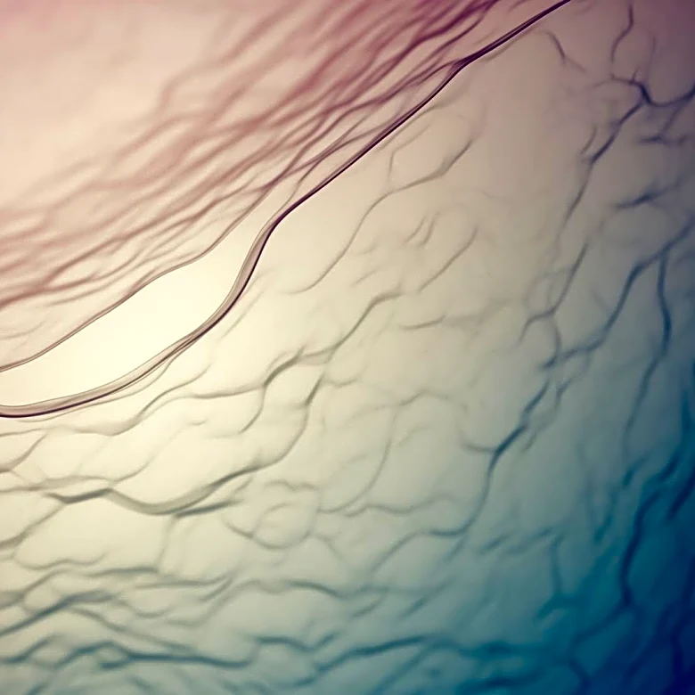 Study Reveals How Physical Instabilities Drive Embryonic Development