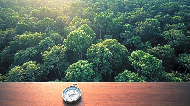 Forest Peoples Programme Offers Remote Career Opportunities for Indigenous Advocacy