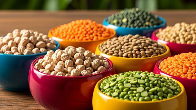 India's Pulses Revolution Aims for Self-Sufficiency in Dal Production