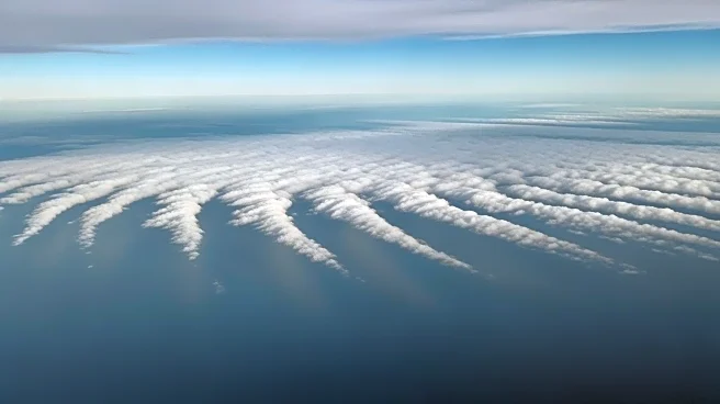 NOAA Captures 'Cloud Streets' Over Florida Amid Cold Weather