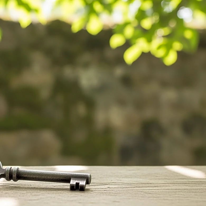 Homeowner Appeals Planning Decision to Demolish Heritage Property in New Forest