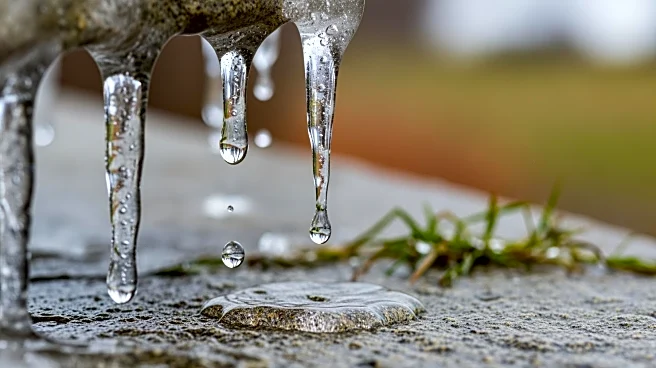 Philadelphia Experiences Continued Melting as Temperatures Remain Above Freezing