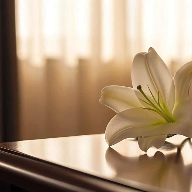 Obituary: Louis 'Lou' Wesley Shorter Sr. Remembered for Community Contributions