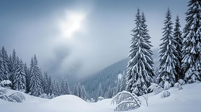 National Weather Service Predicts Heavy Sierra Snow Impacting Holiday Weekend