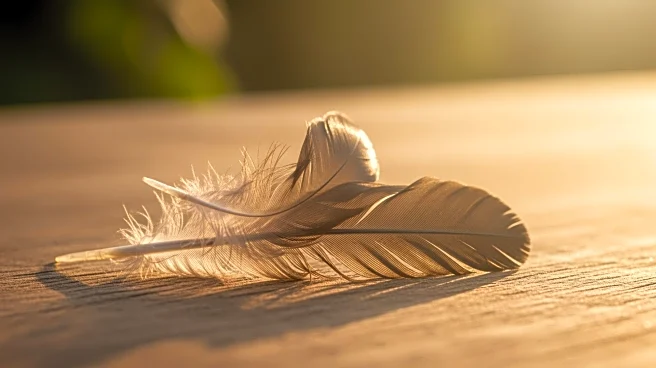 Phoenix's Lovebirds Offer Lessons on Lifelong Bonds Amid Valentine's Day