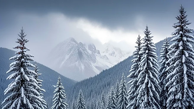 Winter Storm Watch Issued for California and Nevada with Up to 8 Feet of Snow Expected