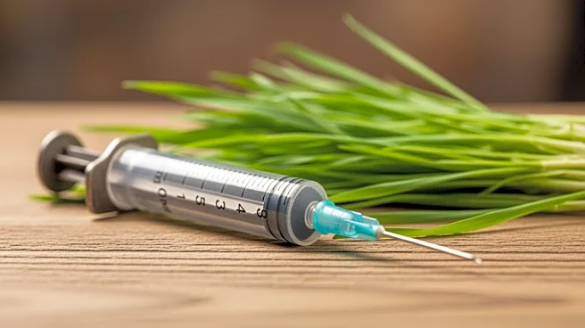 KwaZulu-Natal Launches Six-Month Campaign to Vaccinate 2.4 Million Cattle Against Foot and Mouth Disease