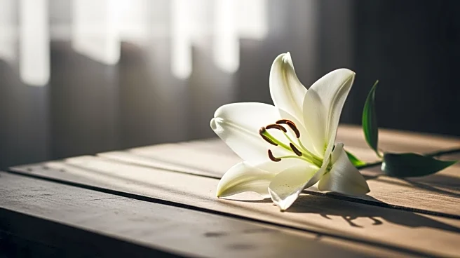 Chicago Teen Dies from Cancer Amid Father's Immigration Case