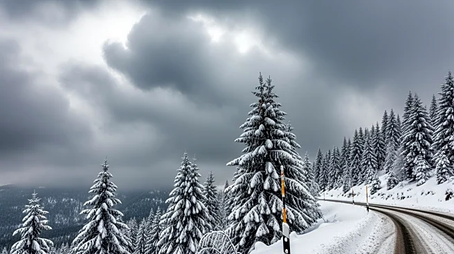 Winter Storm Watch Issued for Northern California with Major Travel Impacts Expected