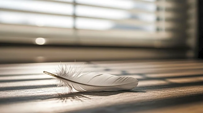 Savannah Guthrie Appeals for Help as FBI Recovers DNA in Mother's Abduction Case