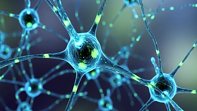 Advancements in Single-Cell Transcriptome Integration Techniques