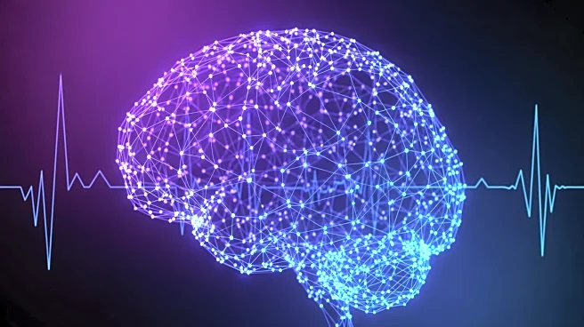 Research Links Genetic Risk for Anhedonia to Altered Brain Activity in Reward Processing