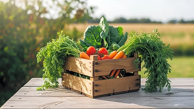 Minnesota Grown and Peterson's Farm Explain Farm Shares and Their Benefits