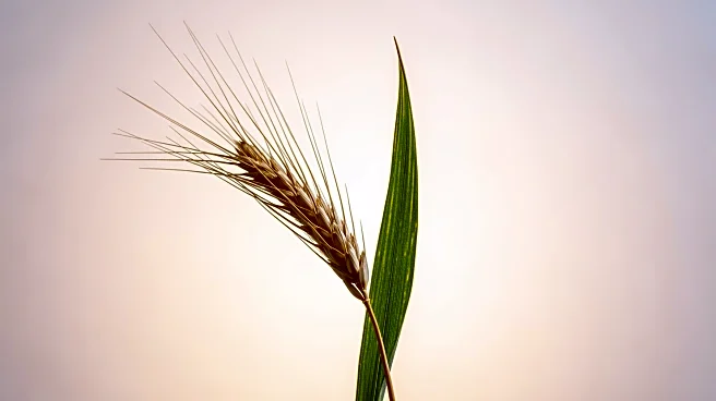 State Agriculture Officials Launch International Year of the Woman Farmer to Empower Women in Agriculture