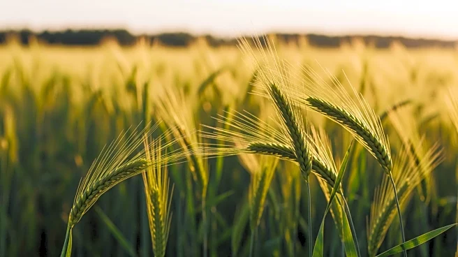 Wisconsin Agriculture Youth Council Opens Applications for 2026