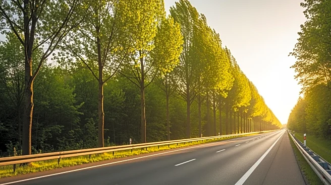 Highway 101 Southbound Lanes Reopened After Tree Fall in Santa Barbara County