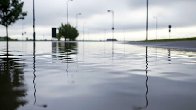 Rain Causes Flooding in Fremont and East Bay on President's Day