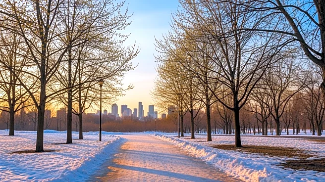 New York City to Experience Spring-Like Temperatures Amid Winter