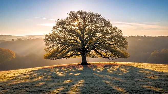 Jesse Jackson's Passing Marks End of an Era in Civil Rights Leadership