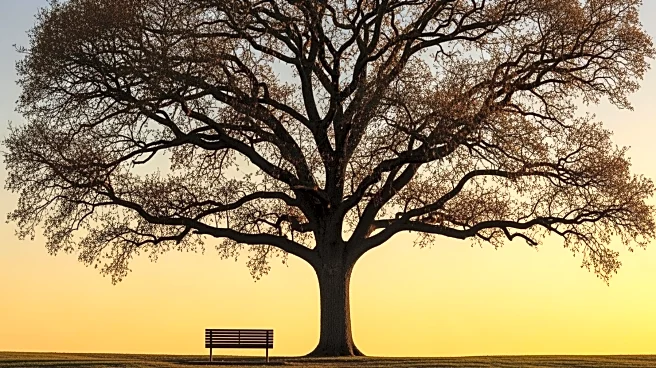 Civil Rights Leader Rev. Jesse Jackson Passes Away at 84